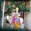 Lord Krishna Statue at Kali Paltan Temple, Meerut